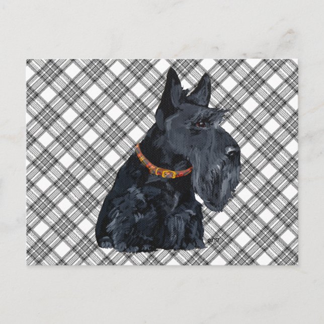 Scottish Terrier Tartan Card Postkarte (Vorderseite)