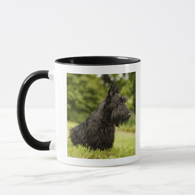 Scottish Terrier Tasse (Links)