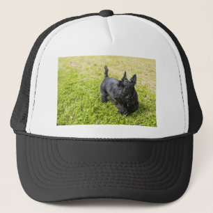 Scottish Terrier Truckerkappe