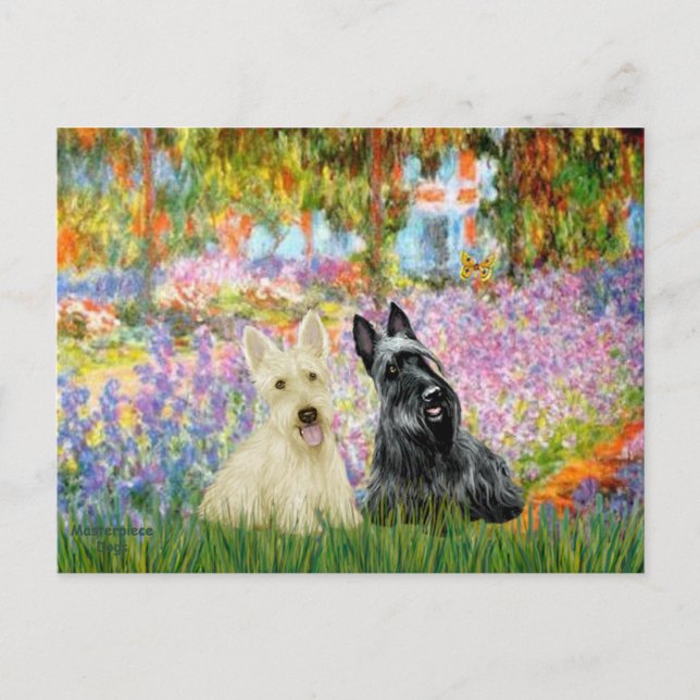 Scottish Terrier (two BW) - Garden Postkarte (Vorderseite)