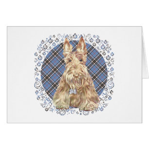 Scottish Terrier über Tartan