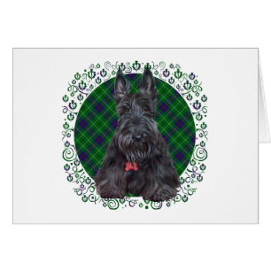 Scottish Terrier über Tartan