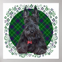 Scottish Terrier über Tartan