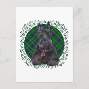 Scottish Terrier über Tartan Postkarte