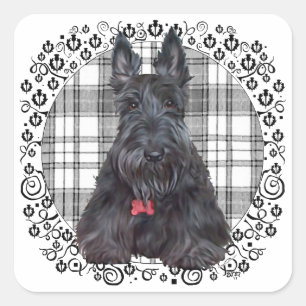 Scottish Terrier über Tartan Quadratischer Aufkleber