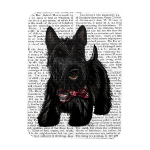 Scottish Terrier und Bow Magnet