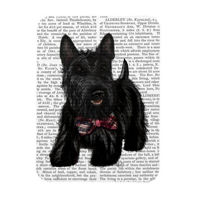Scottish Terrier und Bow Magnet (Vertikal)