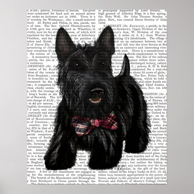 Scottish Terrier und Bow Poster (Vorne)