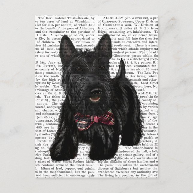 Scottish Terrier und Bow Postkarte (Vorderseite)