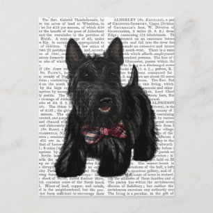 Scottish Terrier und Bow Postkarte