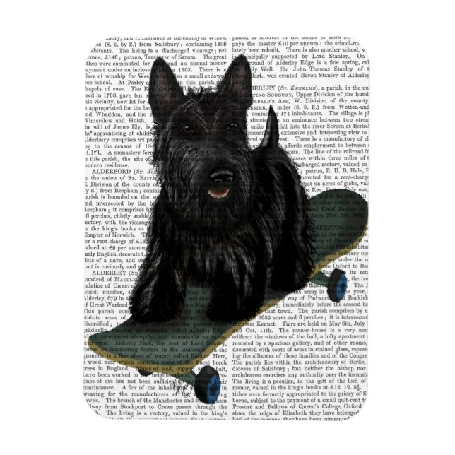 Scottish Terrier und Skateboard Magnet (Vertikal)