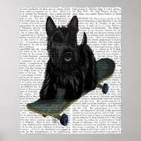 Scottish Terrier und Skateboard