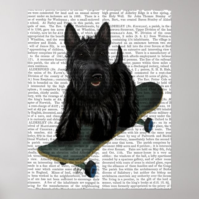 Scottish Terrier und Skateboard Poster (Vorne)
