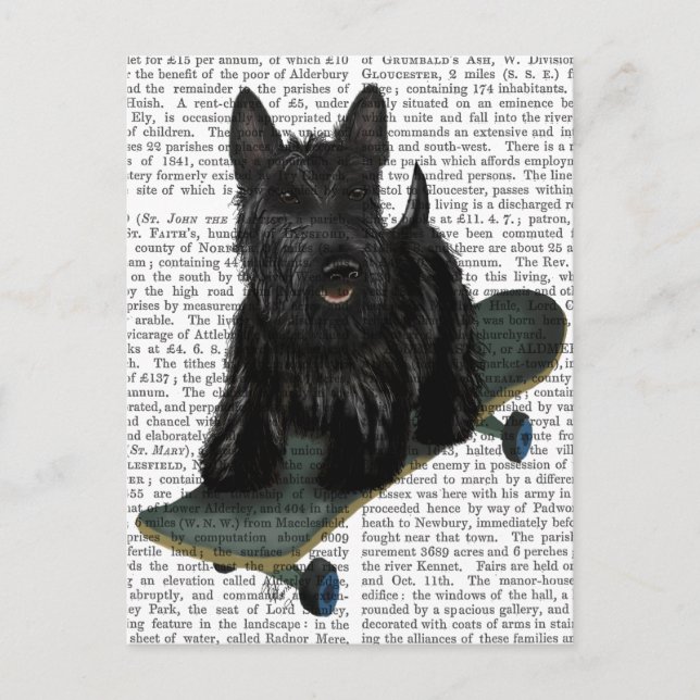 Scottish Terrier und Skateboard Postkarte (Vorderseite)