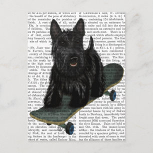 Scottish Terrier und Skateboard Postkarte