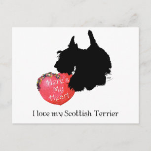 Scottish Terrier Valentine Feiertagspostkarte