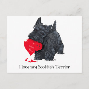 Scottish Terrier Valentine Feiertagspostkarte