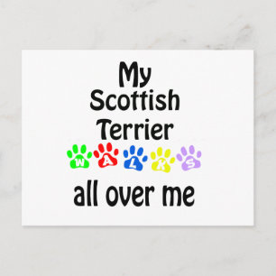 Scottish Terrier Walks Design Postkarte