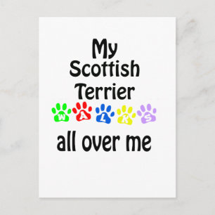 Scottish Terrier Walks Design Postkarte