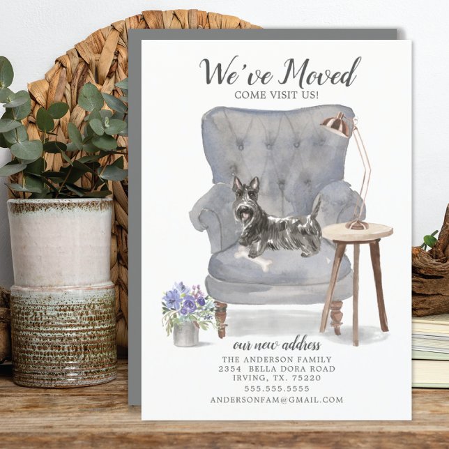 Scottish Terrier We moved Moving Ankündigung (Von Creator hochgeladen)