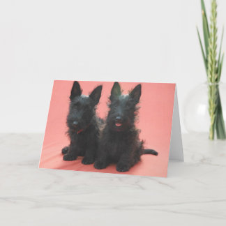 Scottish-Terrier-Welpengrußkarten Karte