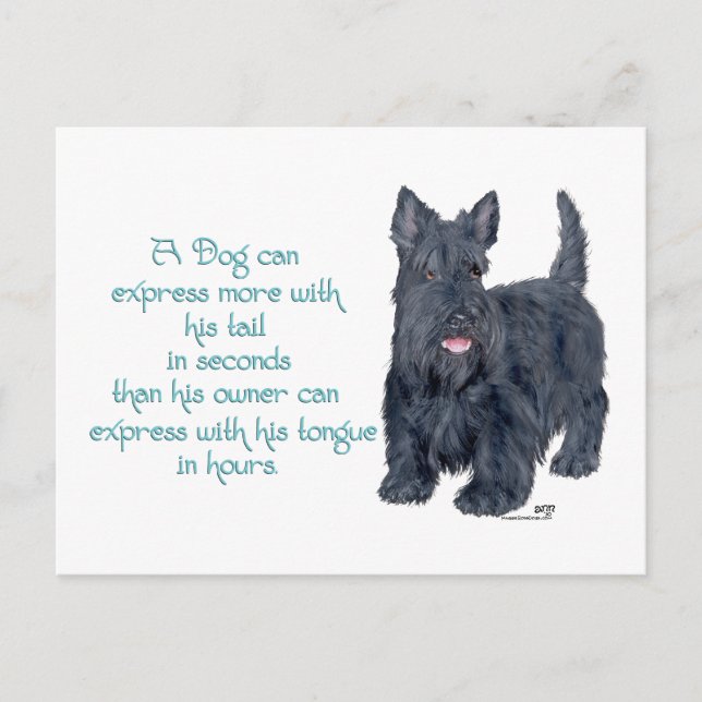 Scottish Terrier Wit & Wisdom - Talking Postkarte (Vorderseite)