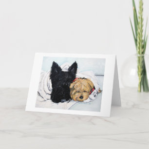 Scottish Terrier & Yorkie Best Friends Karte