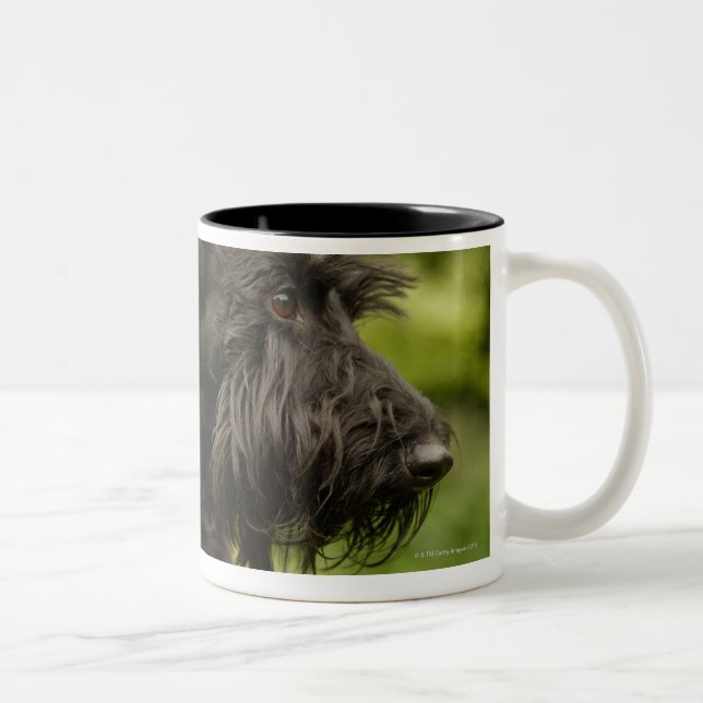 Scottish Terrier Zweifarbige Tasse (Rechts)