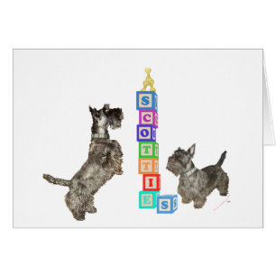 Scottish Terriers Alphabet Blocks