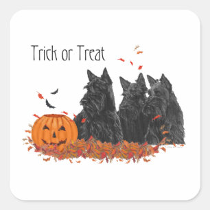 Scottish Terriers Halloween Quadratischer Aufkleber