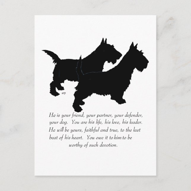 Scottish Terriers Keepake - MALE Hunde Postkarte (Vorderseite)