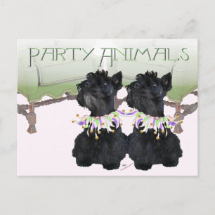 Scottish Terriers Party Animal Postkarte