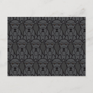 Scottish Terriers Postkarte