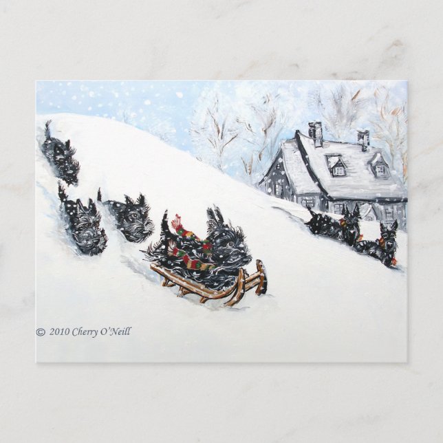 Scottish Terriers Sledding Postkarte (Vorderseite)