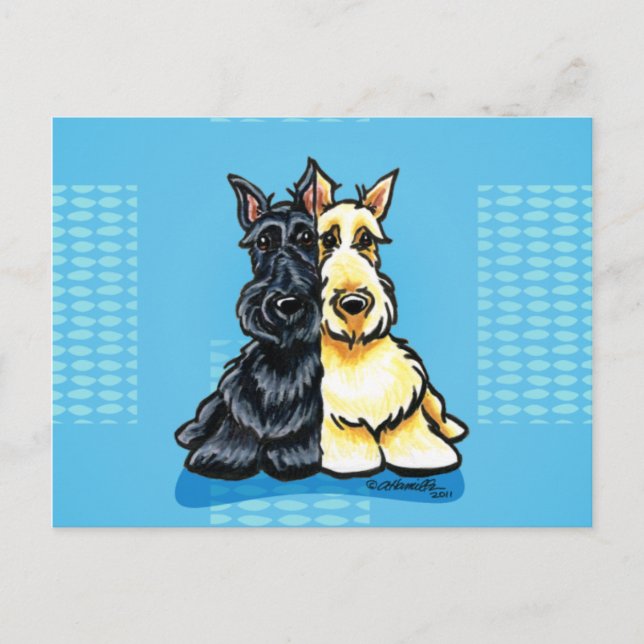 Scottish Terriers Two Postkarte (Vorderseite)