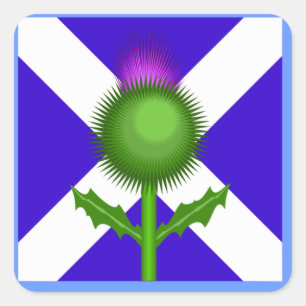 Scottish Thistle and Flag, Quadratischer Aufkleber