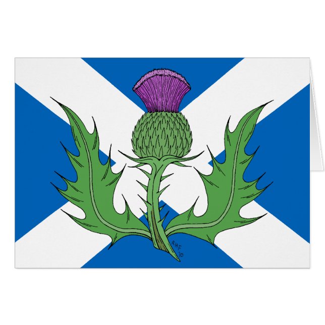 Scottish Thistle and Salreifen Greeting Card (Vorderseite (Horizontal))