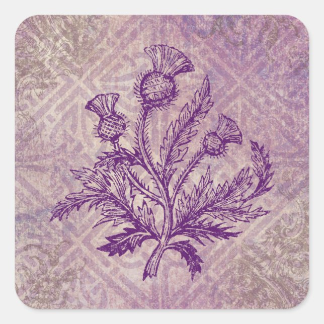 Scottish Thistle Lila Celtic Knot Quadratischer Aufkleber (Vorderseite)