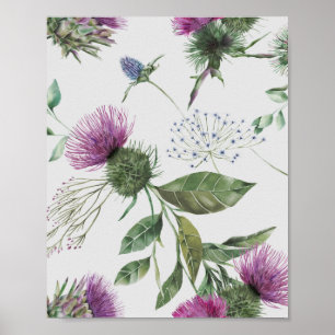 Scottish Thistle Poster