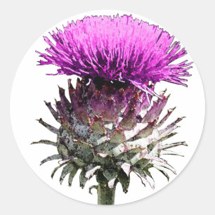 Scottish Thistle Runder Aufkleber