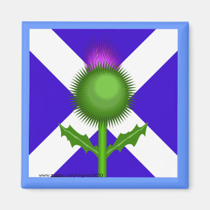 Scottish Thistle und Flag Magnet