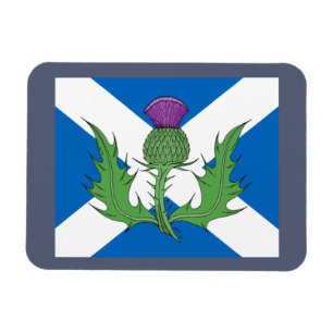Scottish Thistle und Salreifen Magnet