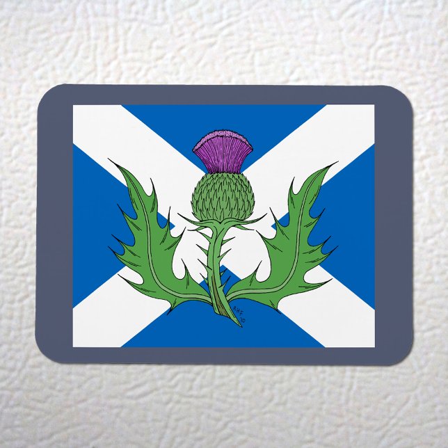 Scottish Thistle und Salreifen Magnet (Scottish Thistle and Saltire Flexi Magnet on White Fridge)