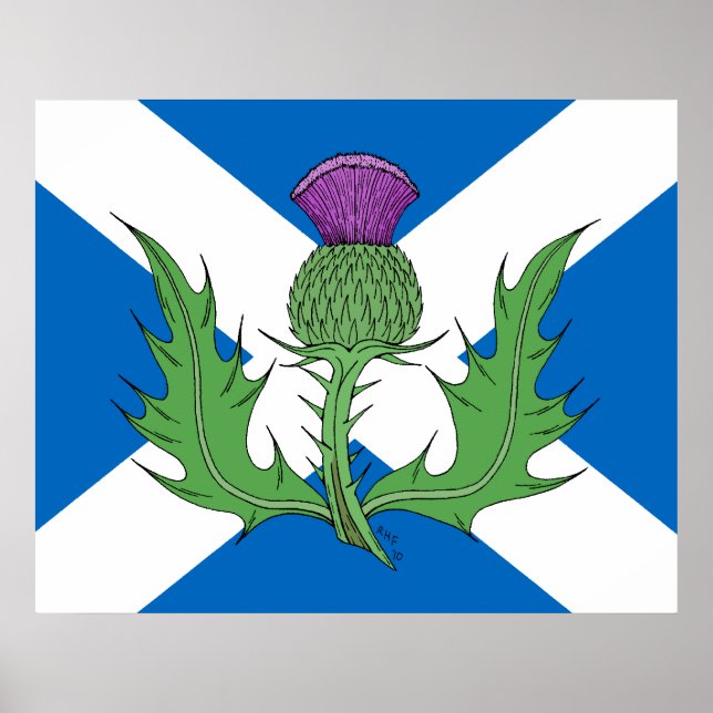Scottish Thistle und Salreifen Poster (Vorne)