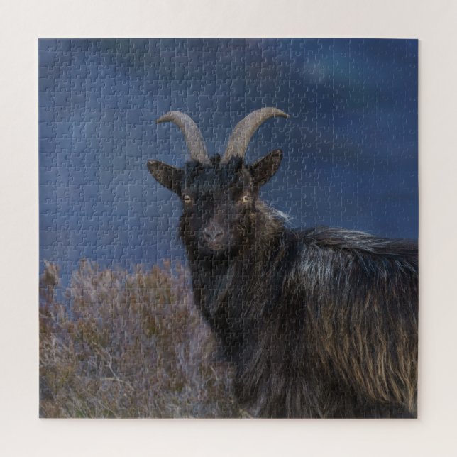 Scottish Wild Goat Puzzle (Vertikal)