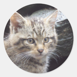 Scottish Wildcat Runder Aufkleber