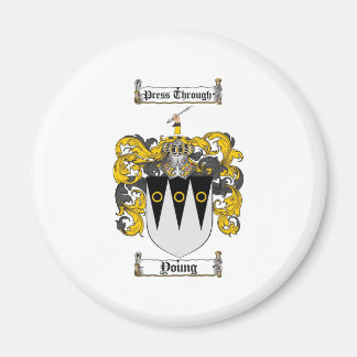 Scottish Young Coat of Arms Stein - Familienwappen Magnet