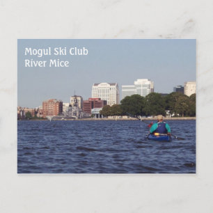 Scotts Creek Vista Postkarte