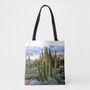 Scottsdale Succulent Sunset