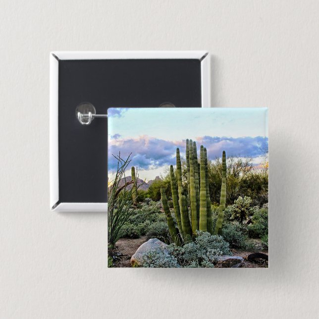 Scottsdale Succulent Sunset Button (Vorne & Hinten)